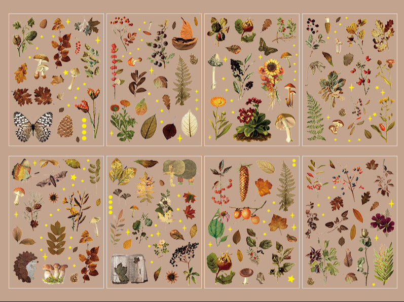 Botanical Bliss PET Sticker Set for Scrapbooking, Journaling, Planner & DIY Decor