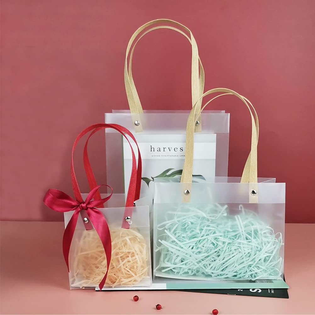 Lucid Luxe Frosted Gift bag