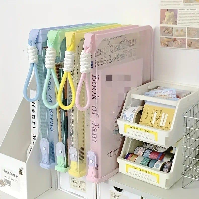 Pastel A4 Transparent File Folder | Available in 4 colors