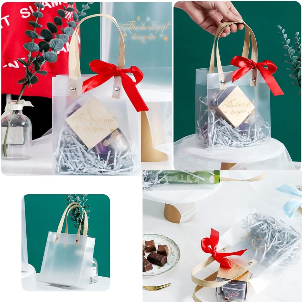 Lucid Luxe Frosted Gift bag