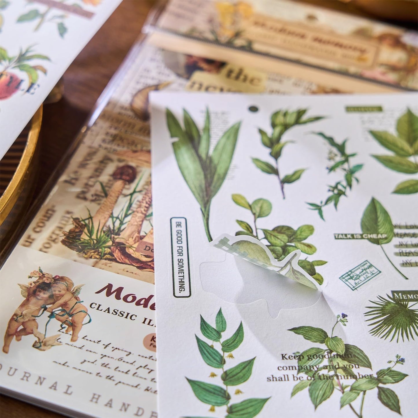 Timeless Whimsy: Vintage Illustrated Journaling Sticker Book with 20 sheets
