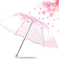 Japanese Sakura tri fold manual transparent umbrella - Supple Room