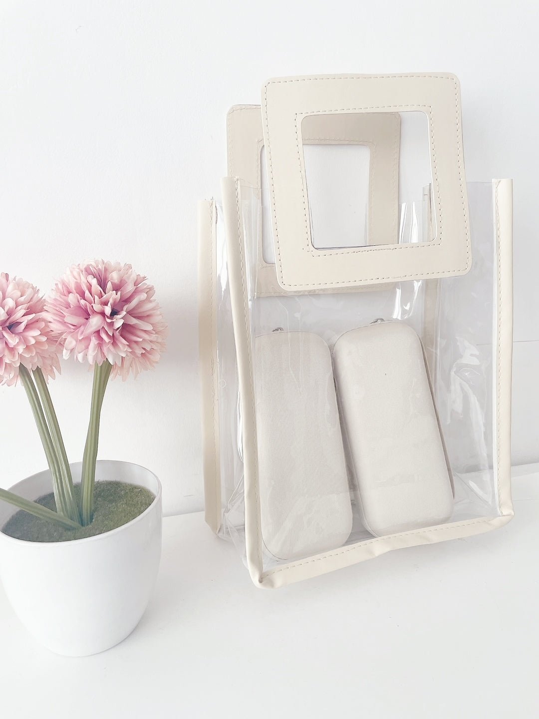 Lucid Luxe Clear Gift bag | 10x8x4 inches - Supple Room