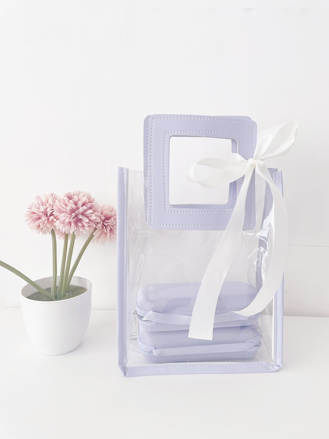 Lucid Luxe Clear Gift bag | 10x8x4 inches - Supple Room