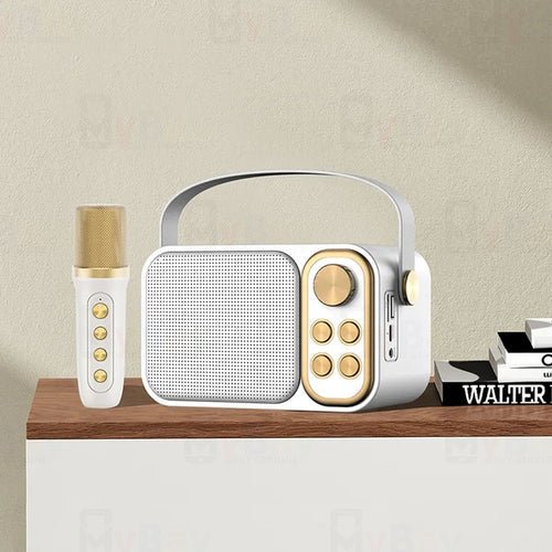 Melody Mate mini Karaoke machine with bluetooth speaker & mic - Supple Room