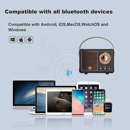 Aesthetic Mini Retro Wireless Bluetooth Speaker with Rose gold detailing | Available in 4 colors - Supple Room